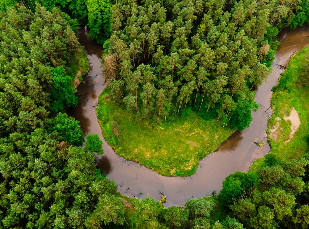 Park Krajobrazowy „Lasy nad Górną Liswartą”